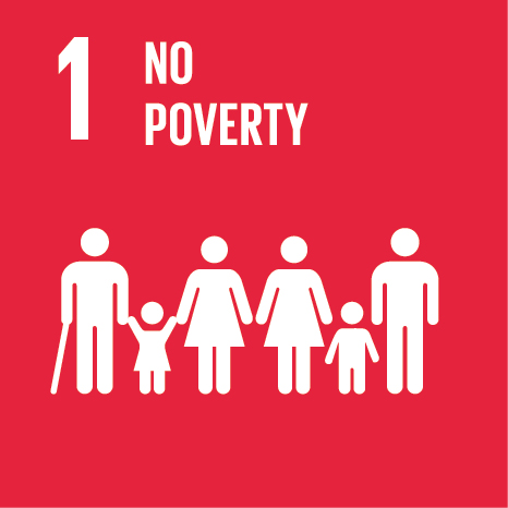 SDG 1 No Poverty